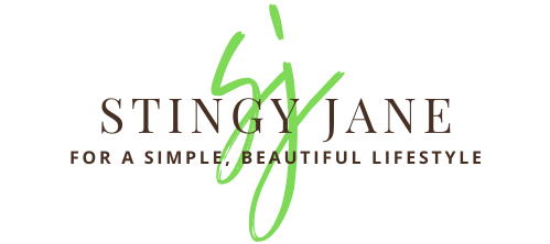 stingyjane.com